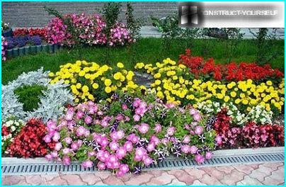 Colorful beds of annuals