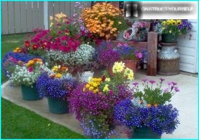 Flower beds in containers