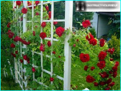 This trellis is very easy to make a thin beam