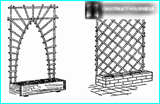 The garden trellis