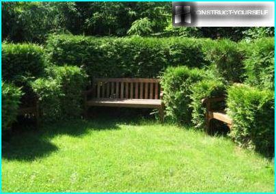 A cozy nook surrounded by trimmed hedges