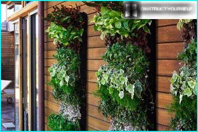 Vertical gardening wall