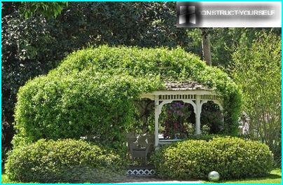 The shaded gazebo in the corner of the garden