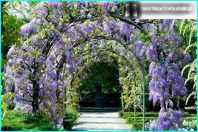 A beautiful arch along the alleys of the garden