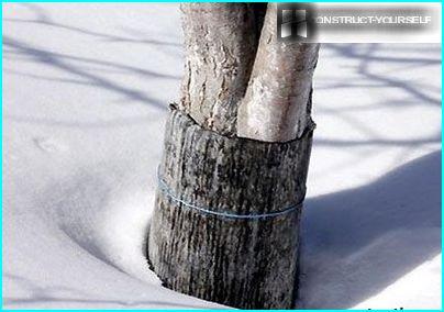 Proteção de troncos de árvores