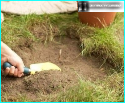 Selectie van planten voor een alpine heuvel: voorbeelden van variëteiten + decorregels