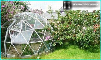 Invernadero de cúpula de policarbonato
