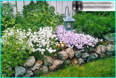 Blomsterbed fra tørketolerante planter