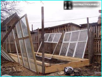 Vertical racks for greenhouses