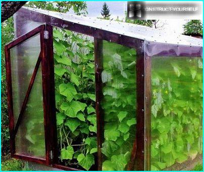 lean-to greenhouse