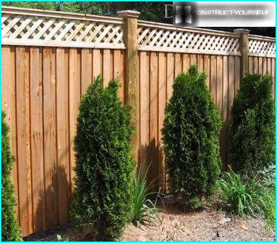 Beautiful wooden fence