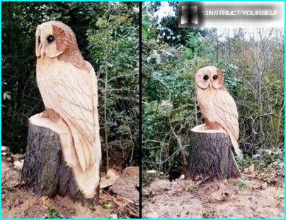 Hamp Owl