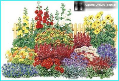 Diagramme d'un parterre de fleurs multicolore avec lobelia rouge.