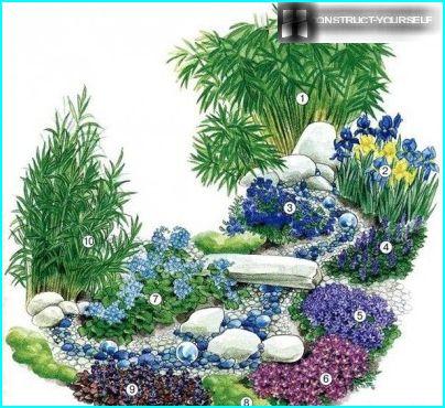 Flowerbed with blue Lobelia in the pond