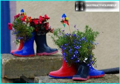 Pots of Lobelia from rubber boots