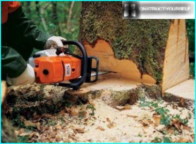 Professional chainsaw