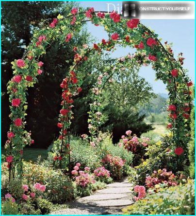 Arches of roses