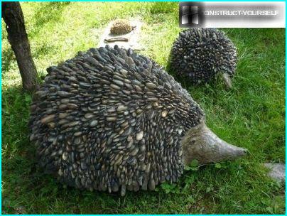 Igel