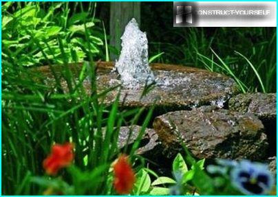 Fontana in campagna