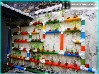 Macizo de flores en las tuberías